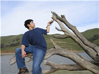 Stuart climbs a dead tree